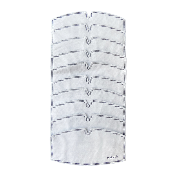 SMALL PM 2.5 Filters for Masks - 10 pack