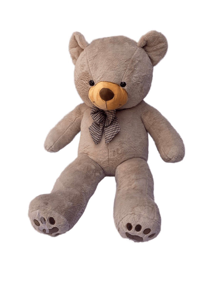 teddy bear takealot