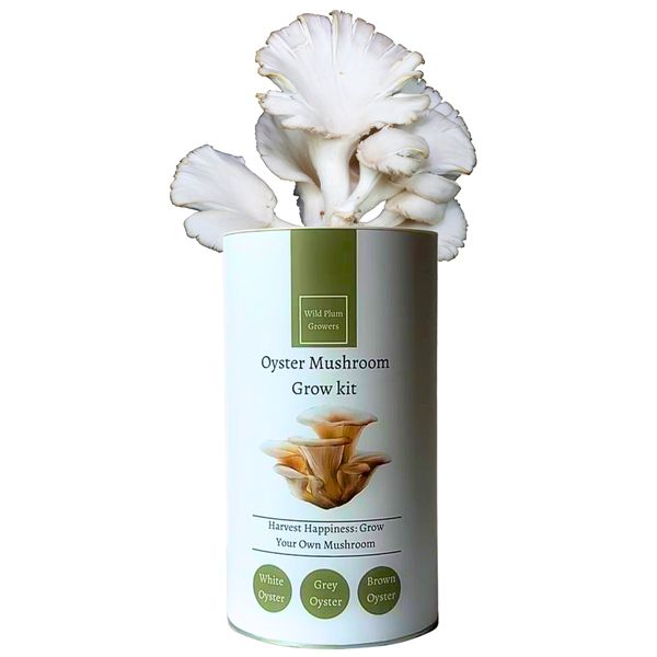 Wild Plum Growers White Oyster Mushroom Grow Kit