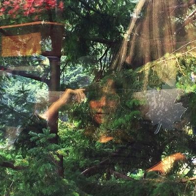 Angels of Death (Vinyl / 12" Album)