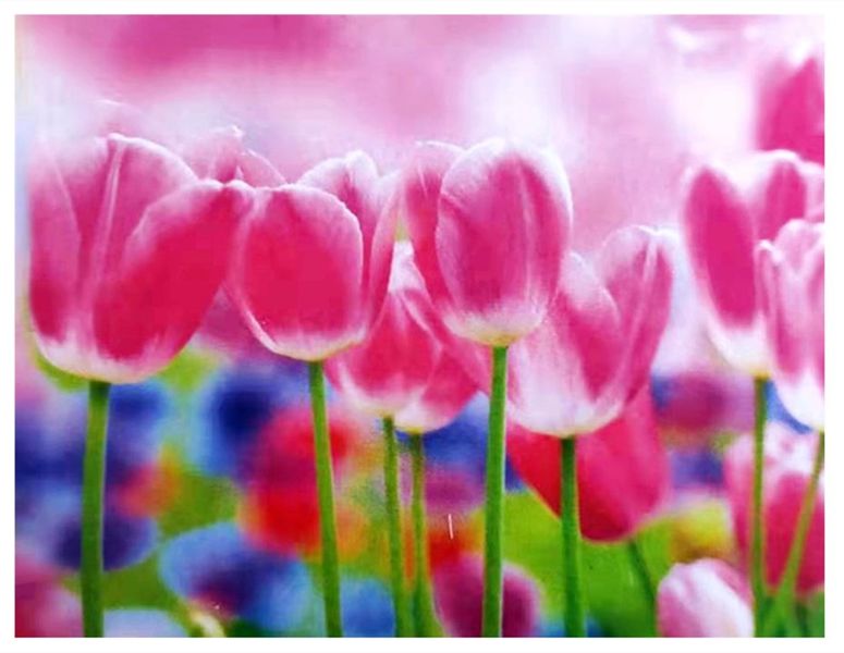 Favorable Impression Rhinestone Canvas 5D DIY Diamond Painting Kits FA33