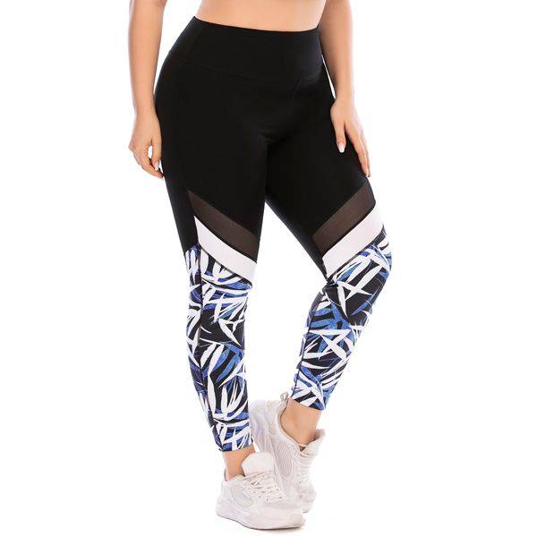 Iconix Plus Size Ladies Blue and White Leggings
