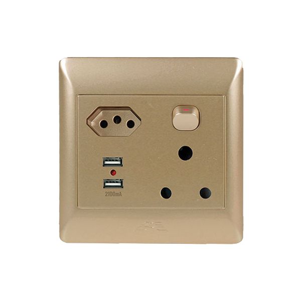ACDC - 1x16a + 1 Euro + 2 Usb Socket Outlet Champagne Cover Plate