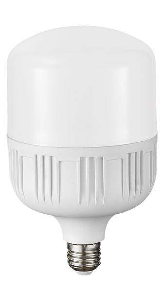 5 Watt LED Bulb in Cool White - T50