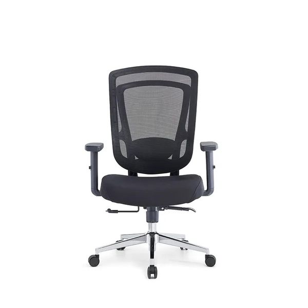 Salem Ergonomic Mesh Office Chair