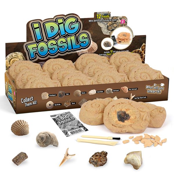 12 Piece Junior Dig Kit - Fossils