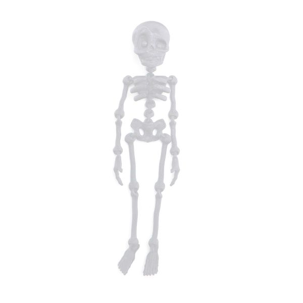 Toy 3D Printed Skeleton Fridge Magnets Toy Display Set Of 2 - 12cm