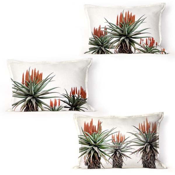 I Love it Here - A trio of Aloe Cushion Covers and Inners
