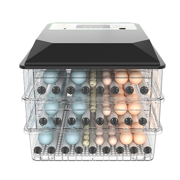 Black Roller 192 Egg Incubator -Dual Power Series