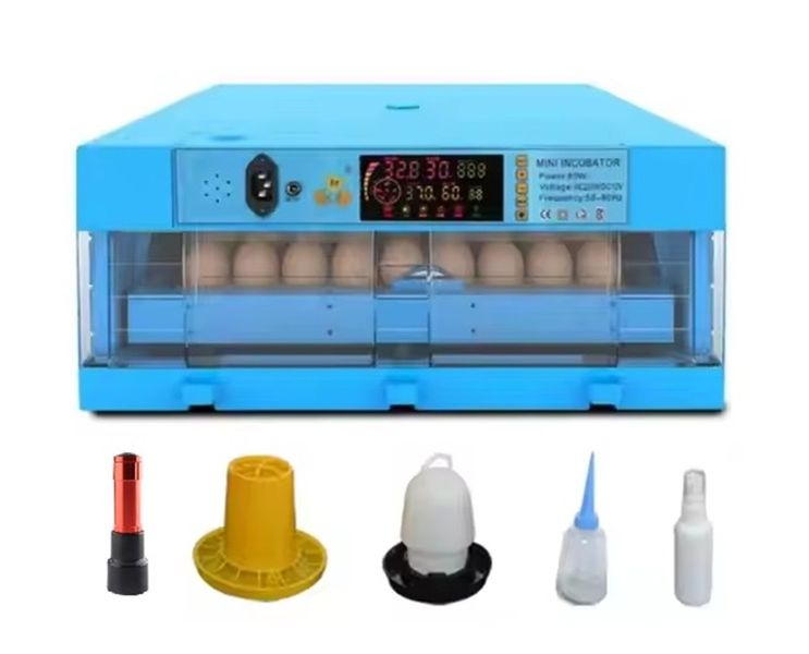 Blue 64 Egg Incubator -Dual Power