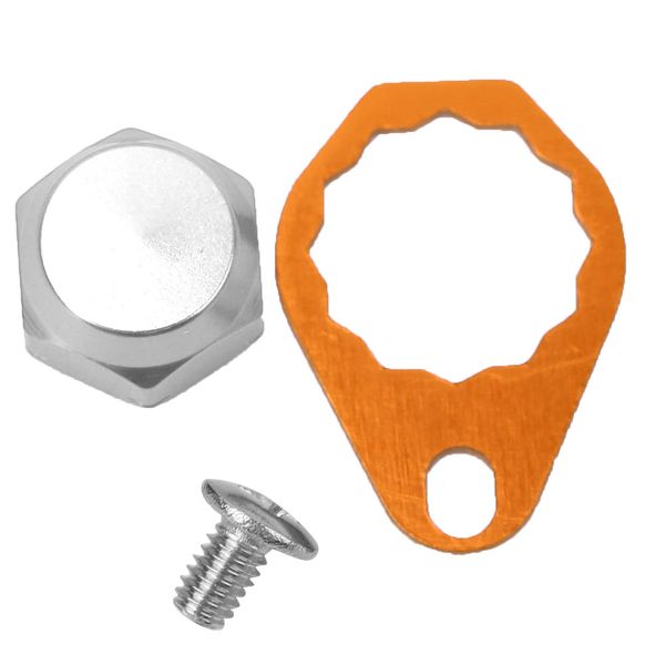 Gold Lock Plate + Silver Nut (LH)