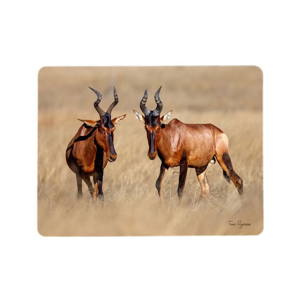 Red Hartebeest Placemats by Fanie Heymans