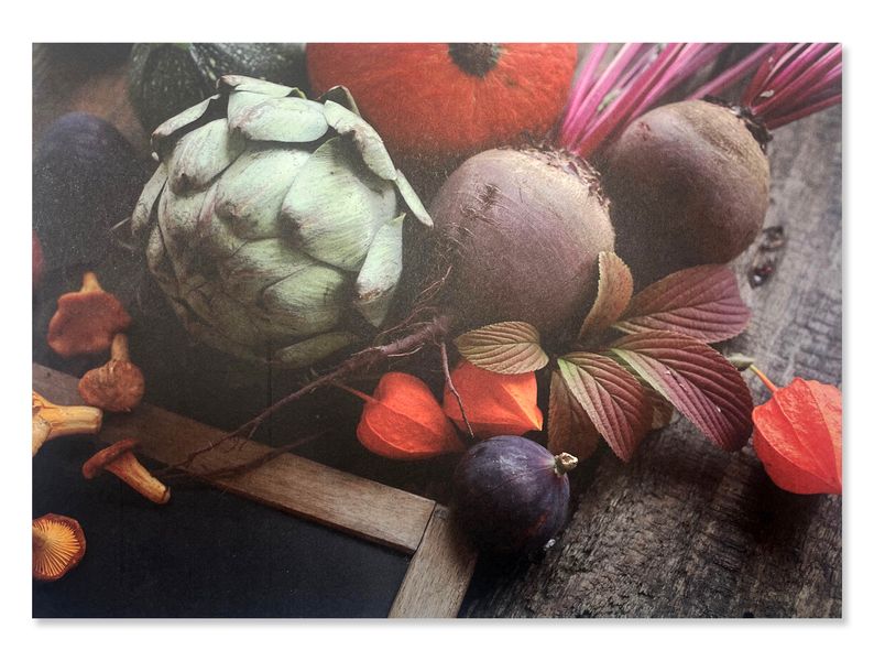 Disposable Paper Placemat Set - Autumn Veggie Garden