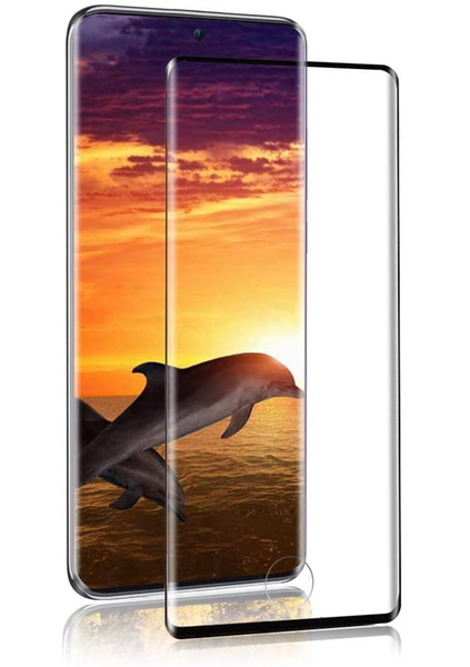 Samsung Galaxy S10 Plus Screen Protector