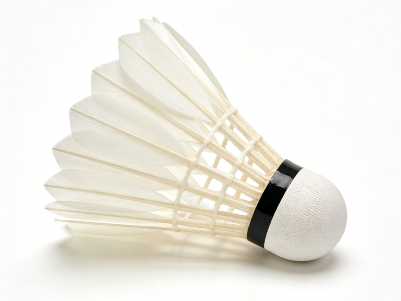 12-Pack of Goose Feather Shuttlecocks with Curved Feather Tips
