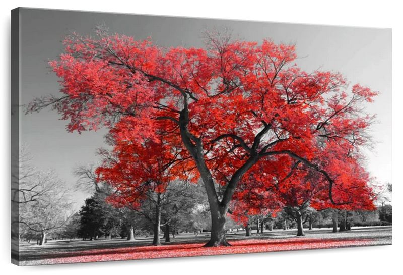 Canvas Art - The Red Tree Canvas Wall Art Decor