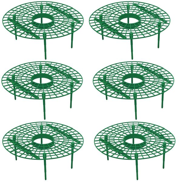 Garden Strawberry Growing Circle 6 Set
