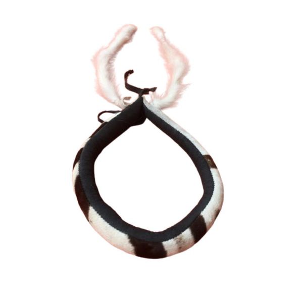 Real Animal Skin Umqhele with Zebra Patterns Mens Black and White Headband