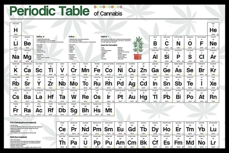 Periodic Table (Cannabis) Poster with Black Frame - 66cm x 96.5cm