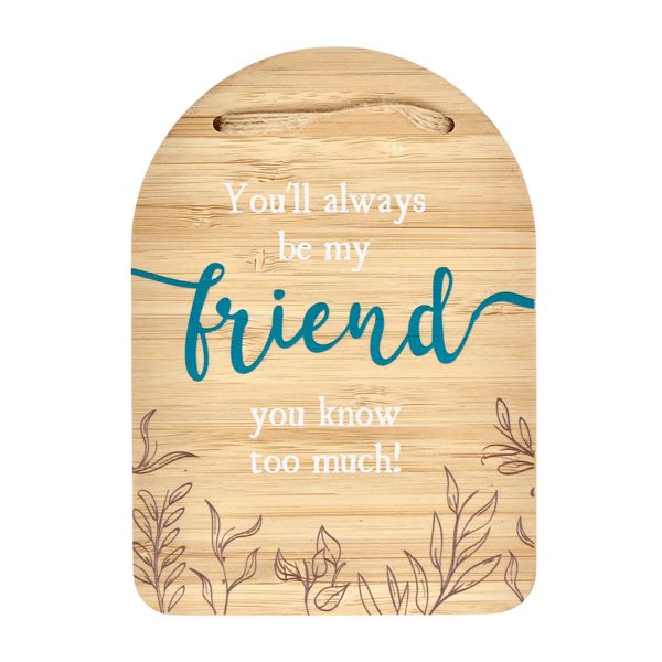 Plaque - You'll always be my friend, you know too much!