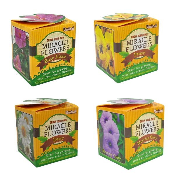 Flower Pots &amp; Seedlings - Educational &amp; Fun 4 Pack - Umlozi