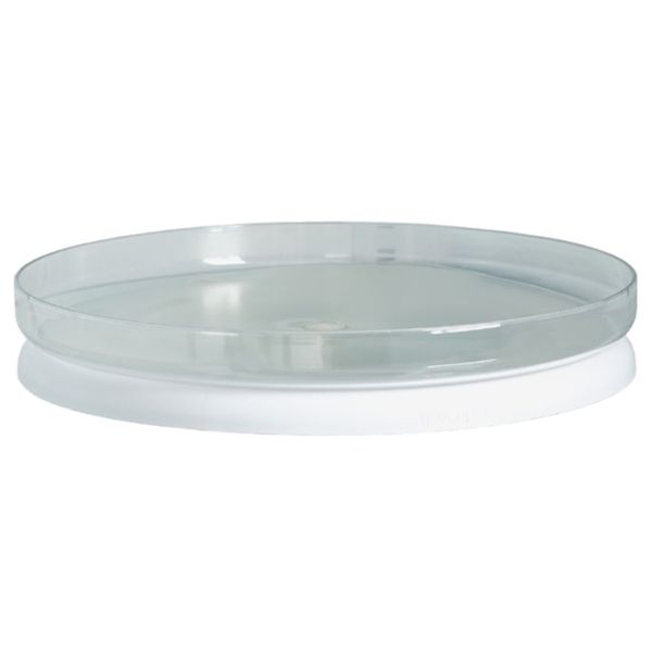 YouCopia FridgeView 360 Fridge Turntable - White