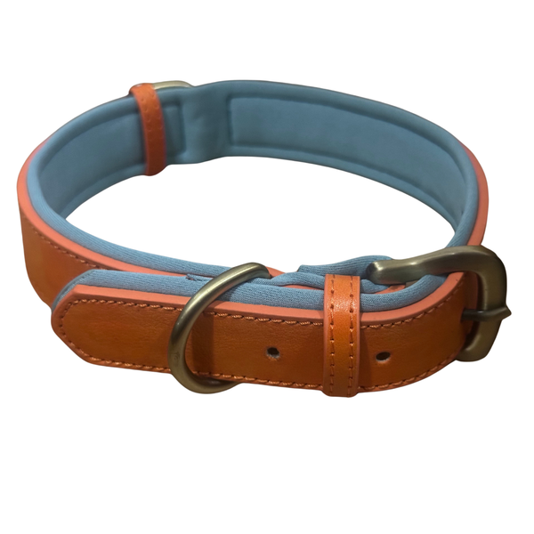 Extra Large Leather Dog Collar Padded - 46 - 56cm