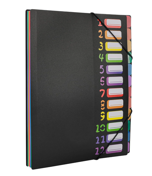 SortWise 24 Pocket Color Coded A4 File