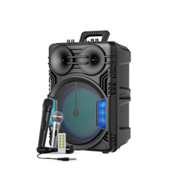 12-inch portable Bluetooth speaker with dual microphones for free singing
