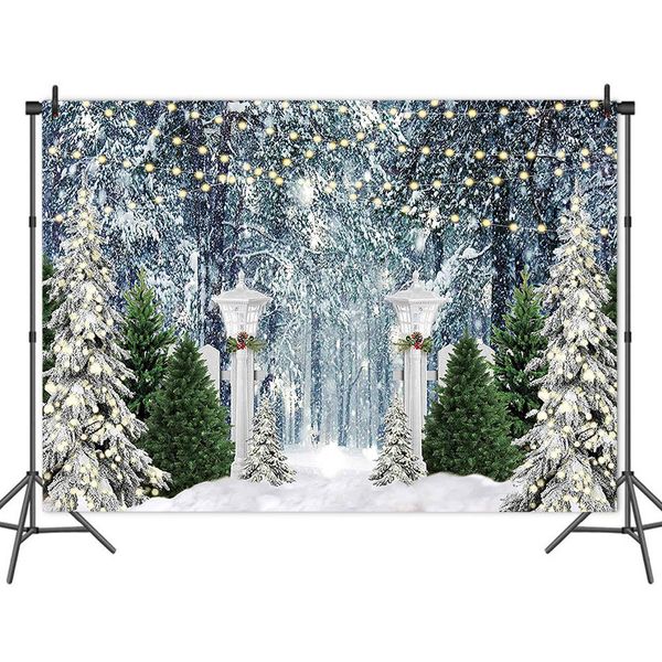 7x5ft Christmas Backdrops for Photography Winter Snow
