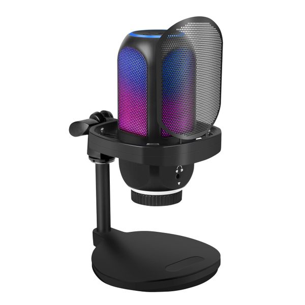 IPSTYLE Condenser Microphone Computer Game AI Noise Reduction Mobile Phone