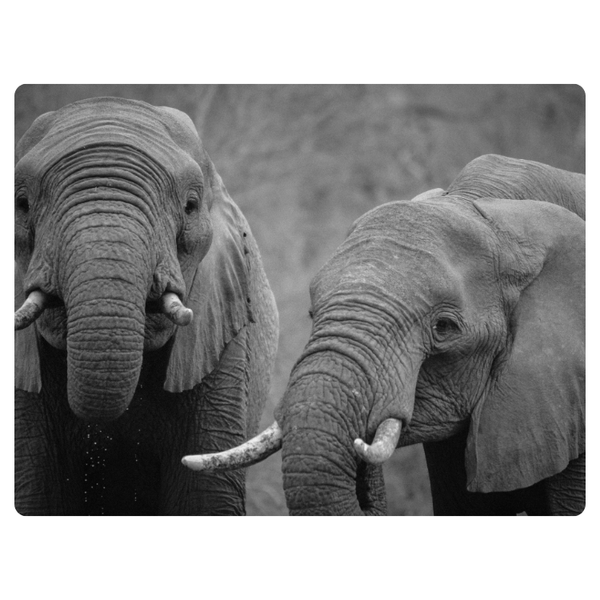Black And White Elephant Printed Mouse Pad