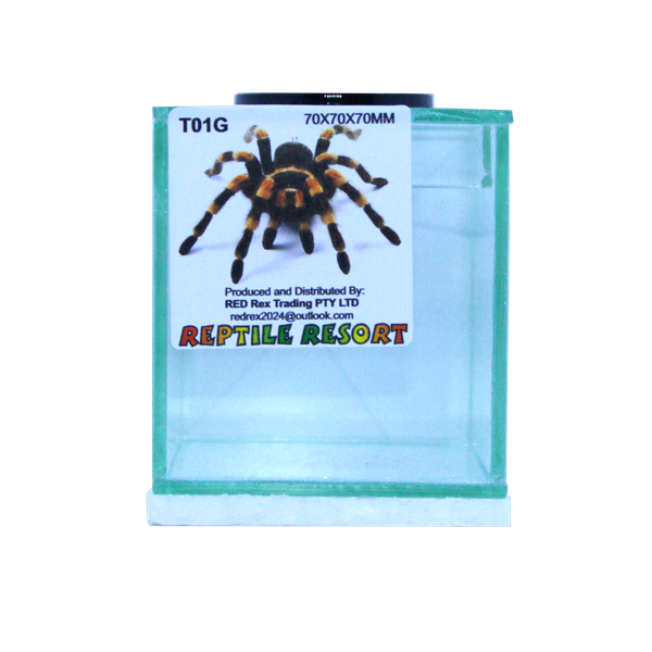 Reptile Resort T01G Glass Spider Enclosure 70x70x70mm