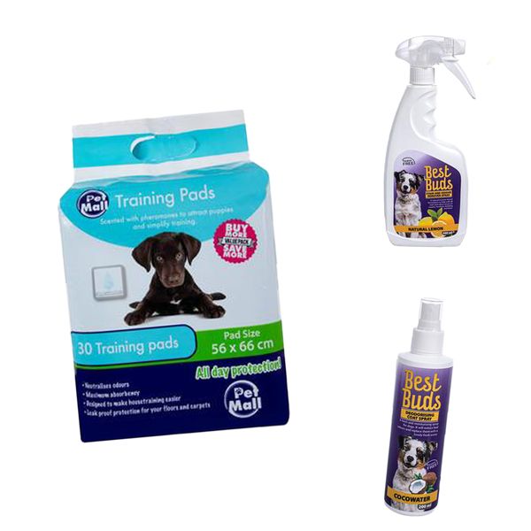 Pet Puppy Training Pads Essentials Bundle &amp; Deodorising + Stain Removal!