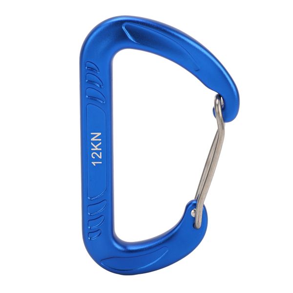 Blue D-Shape 12kN Quick Buckle Carabiner