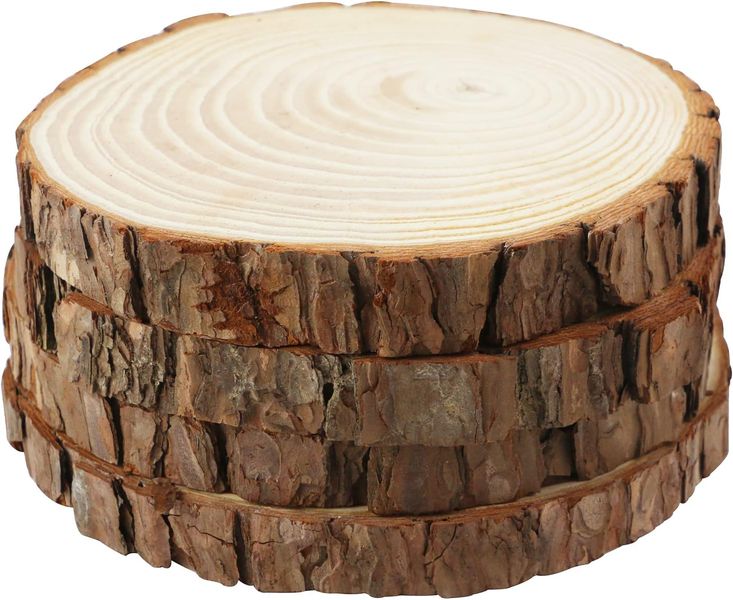 Wood Slices with Bark for DIY Painting Plate (Set of 6) - L