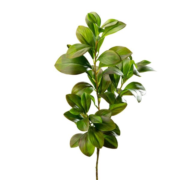 Ruscus Faux Plant