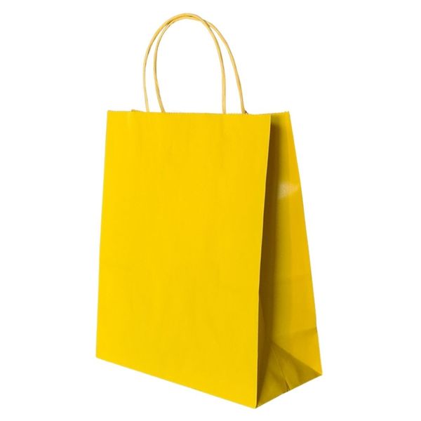 Kraft Paper Gift Bags (12 Pack) - A4 Size