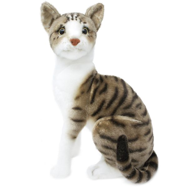 Amy the American Shorthair Cat - Plush Toy