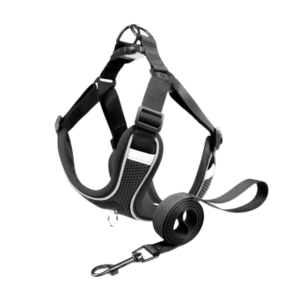 BESTBY - Adjustable Reflective Dog Harness with Leash for Small/Medium Dogs