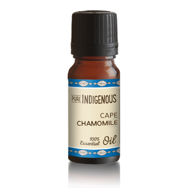 Pure Indigenous Cape Chamomile 100% Essential Oil