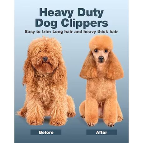 Professional poodle outlet clippers