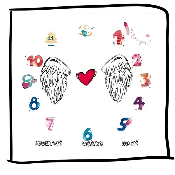 Angel Wings Baby Milestone Sheet for Photography Props