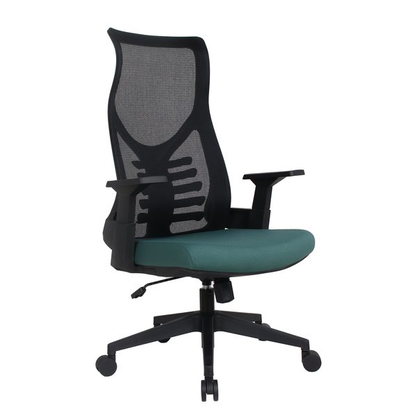Novogracz Office MORADA Ergonomic Mesh Chair - CASTELON GREEN