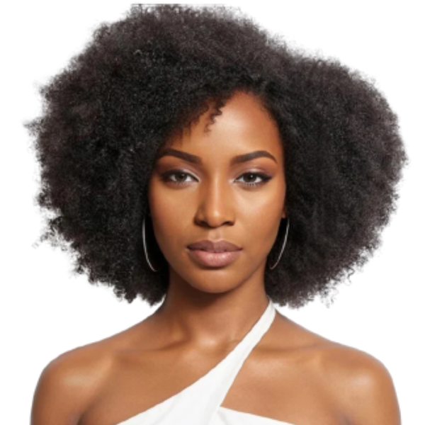 Full Frontal Afro Kinky Brazilian Hair Wig