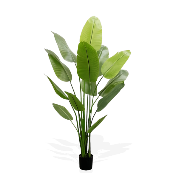 180cm Premium Artificial Traveler Banana Tree - Tall Indoor Decor Plant