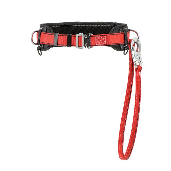 Fall Protection Waistbelt with lanyard