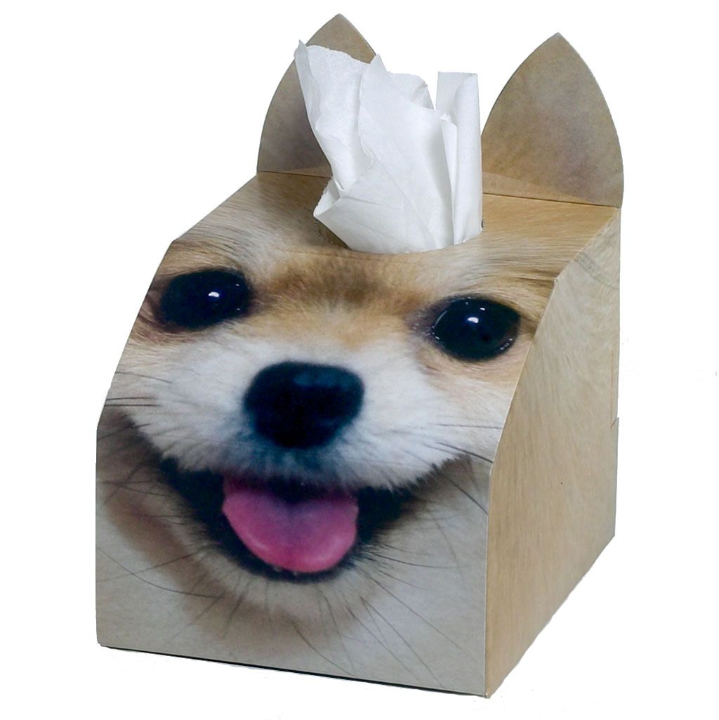 Dog Tissue Box Pomeranian Buy Online in South Africa