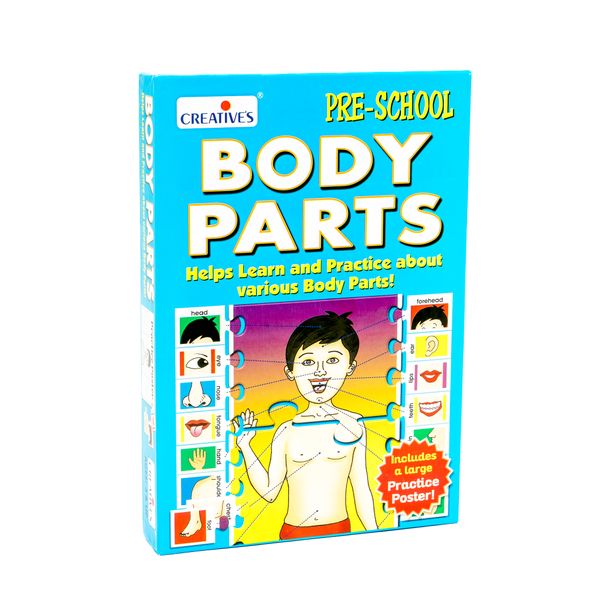Creatives Body Parts