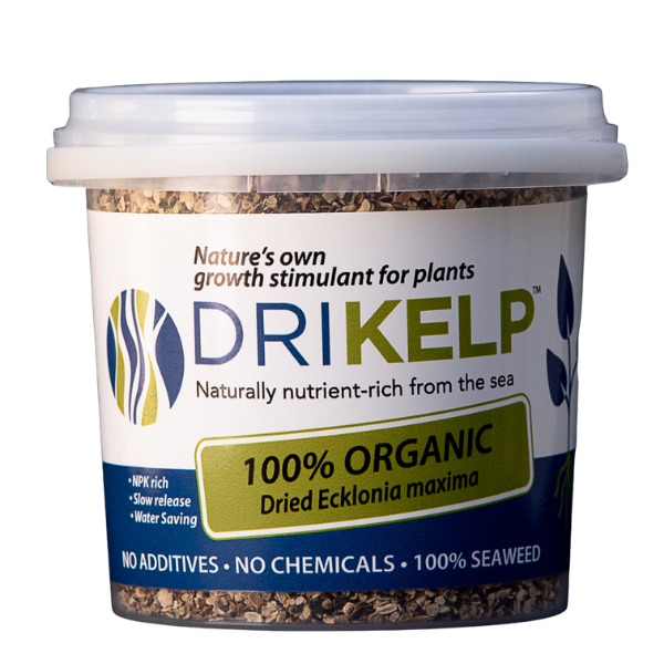 Drikelp Dried Kelp 5kg